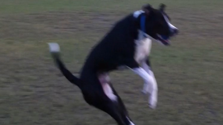 Amazing Jump